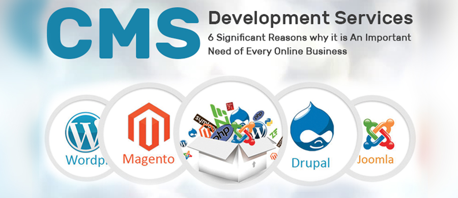 cms website development company in mumbai